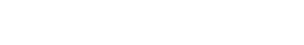Chronic Group Logo